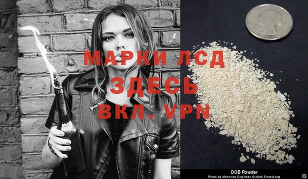 стафф Володарск