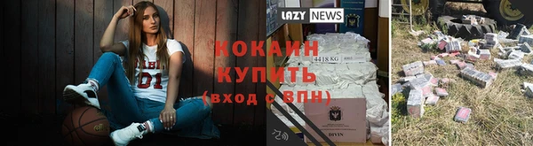 стафф Володарск