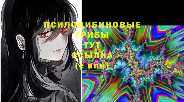 стафф Володарск