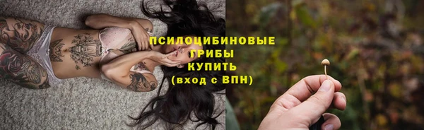 стафф Володарск
