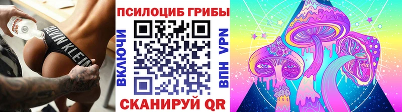Псилоцибиновые грибы Psilocybine cubensis  даркнет сайт  Соль-Илецк 